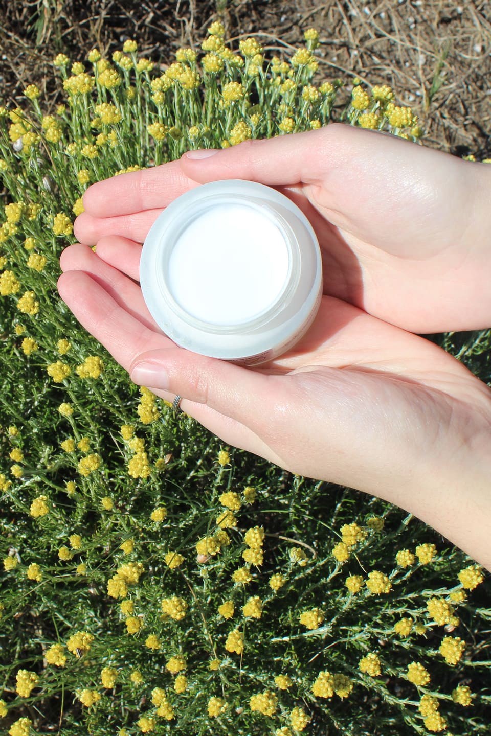 camomila Crema calmante, regeneradora y recuperadora de pieles